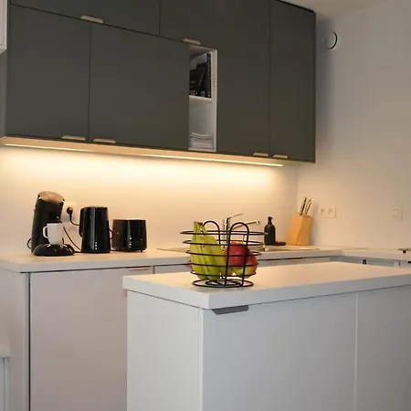 Het Zilte Nest Appartement Ostende